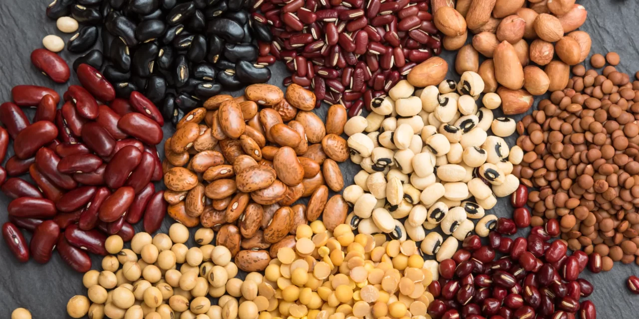 Super Healthy Seeds You Should Eat